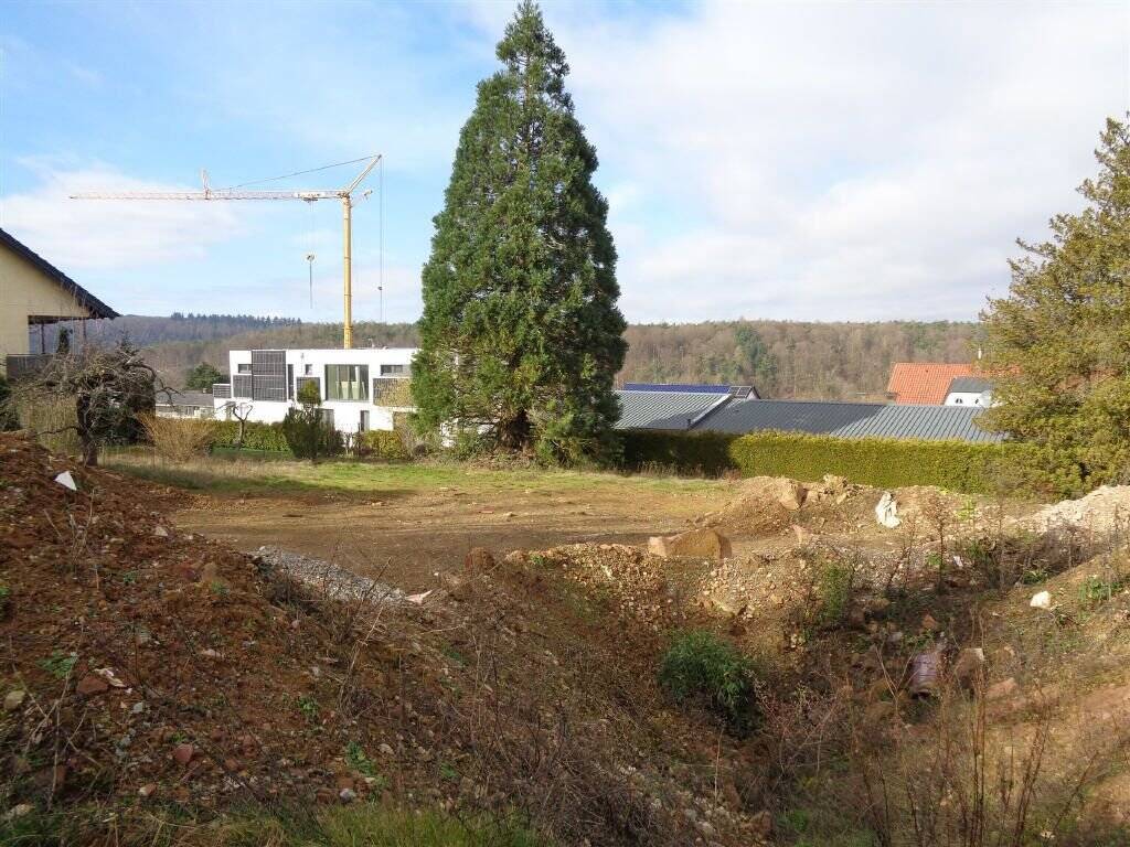 Bild 7