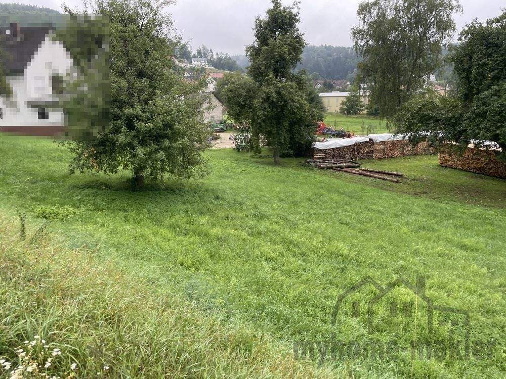 Bild 11