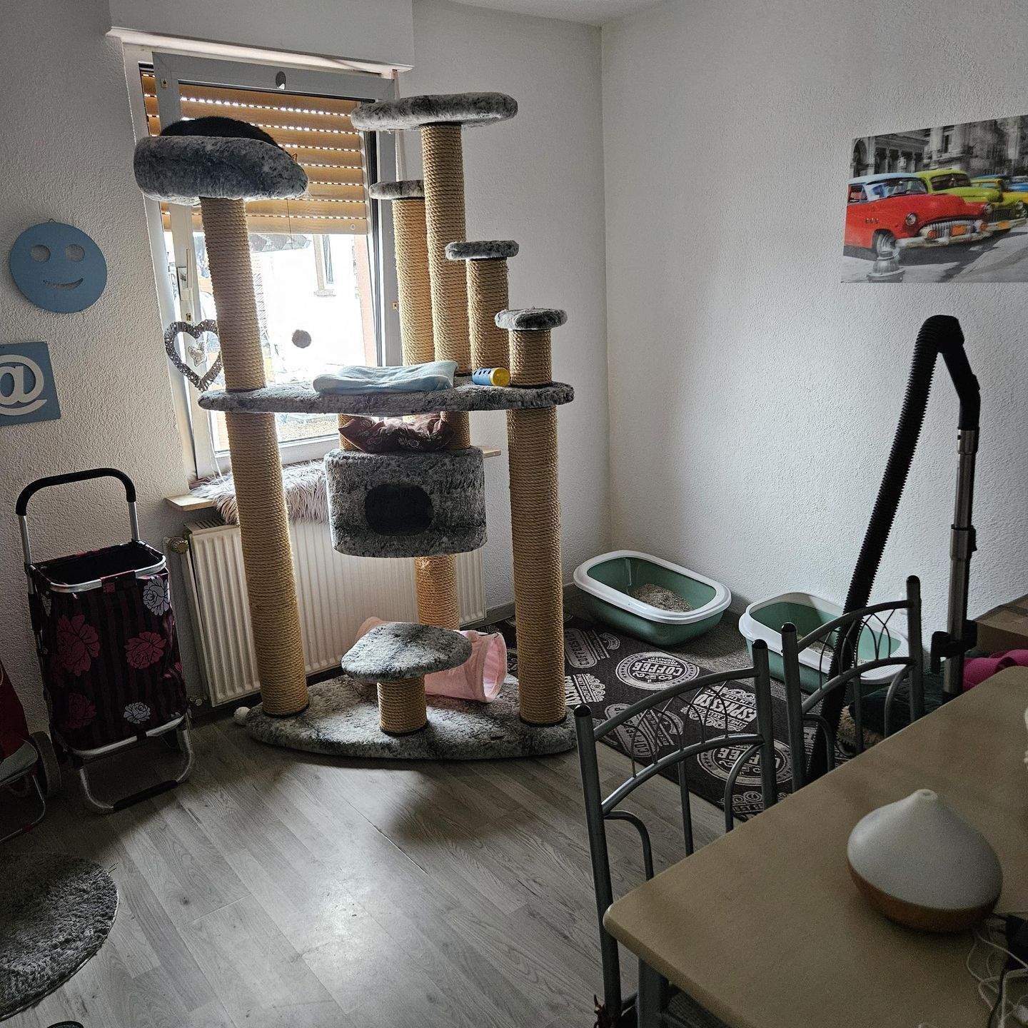 Bild 10