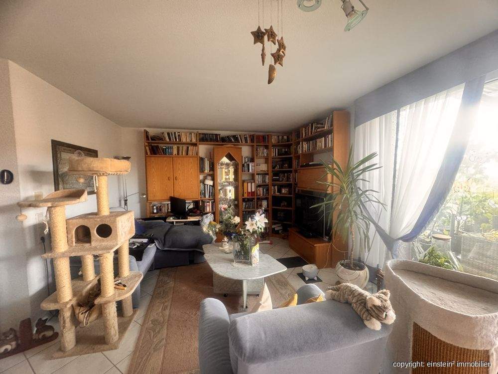 Bild 11