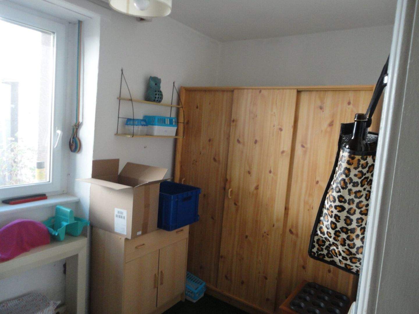 Bild 11