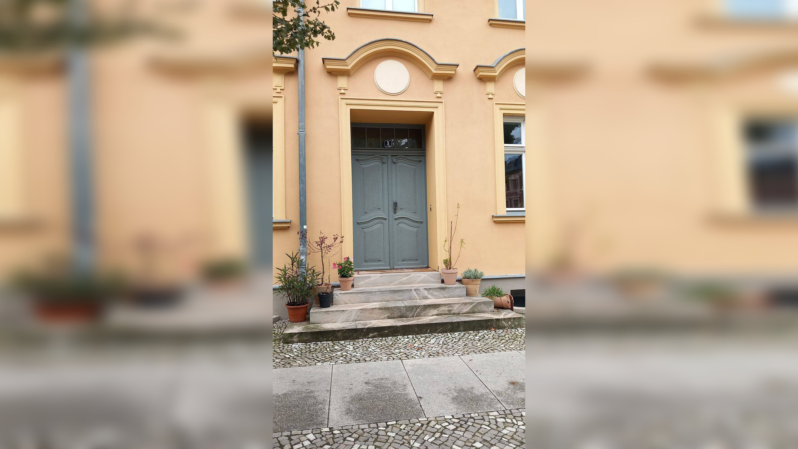 Bild 7
