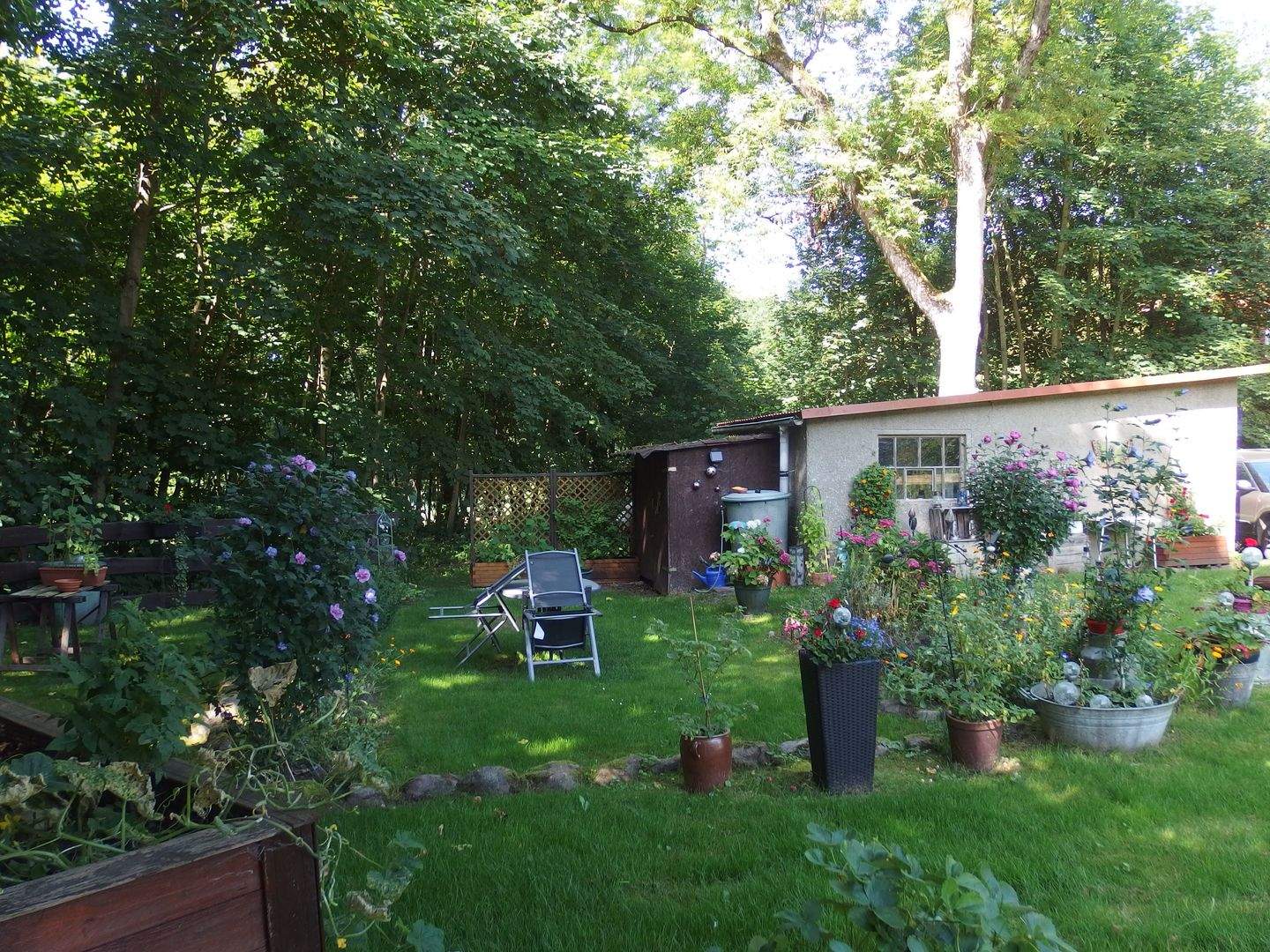 Bild 9