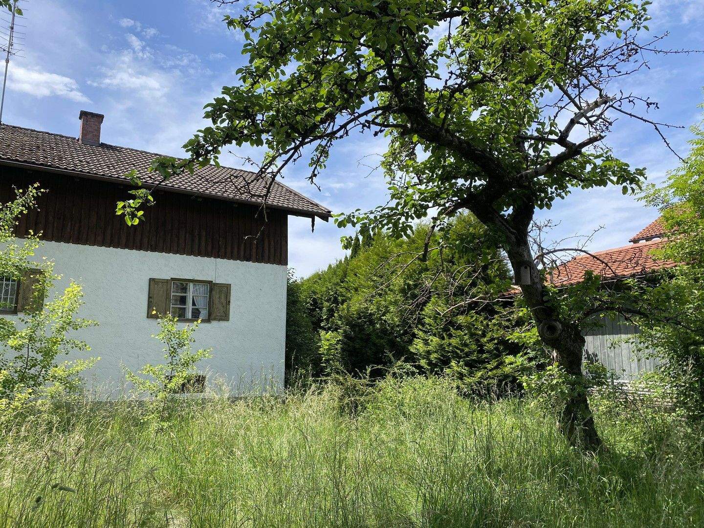 Bild 9