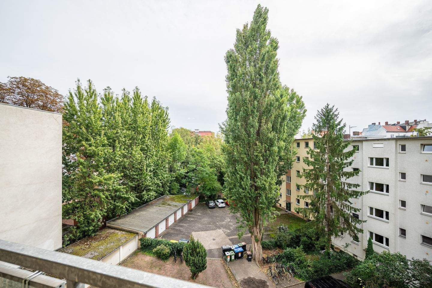 Bild 7