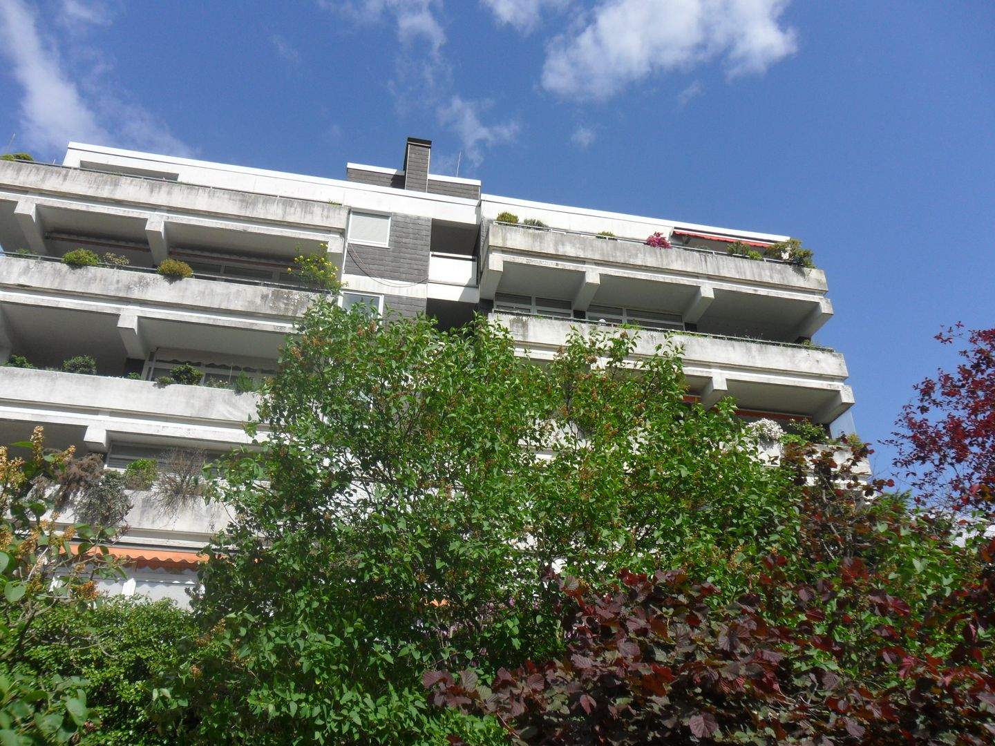 Bild 6