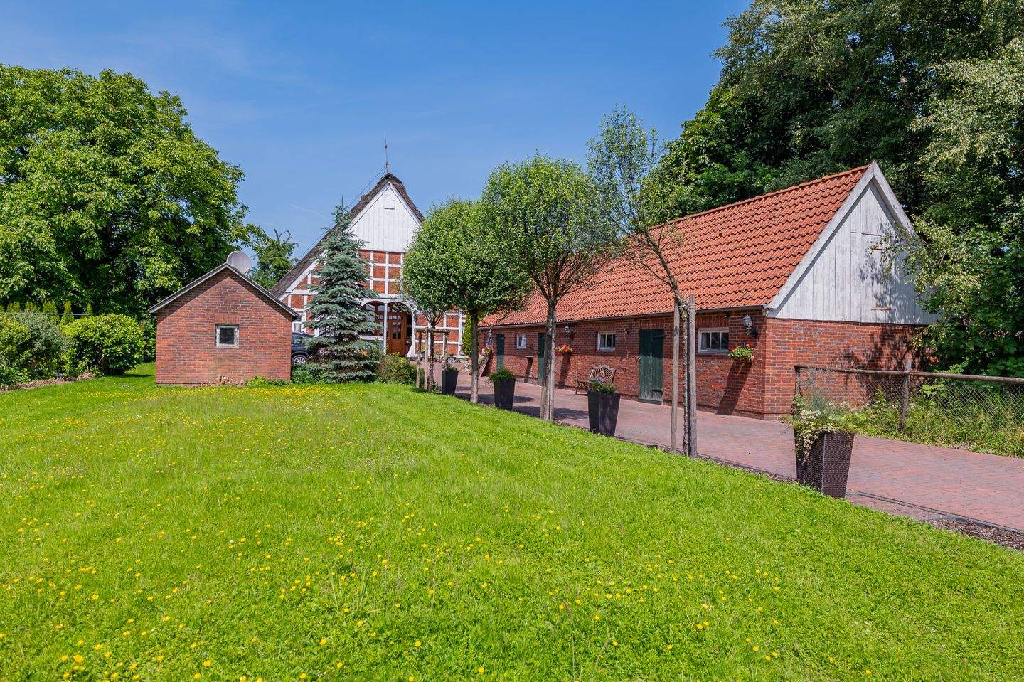 Bild 5