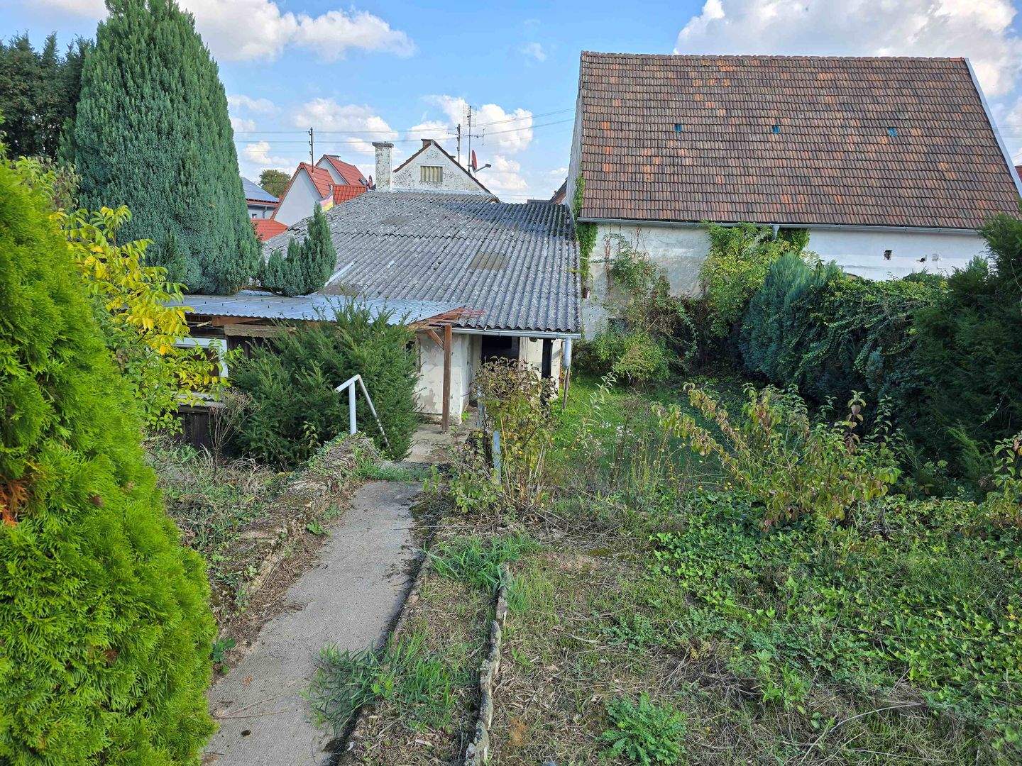 Bild 7
