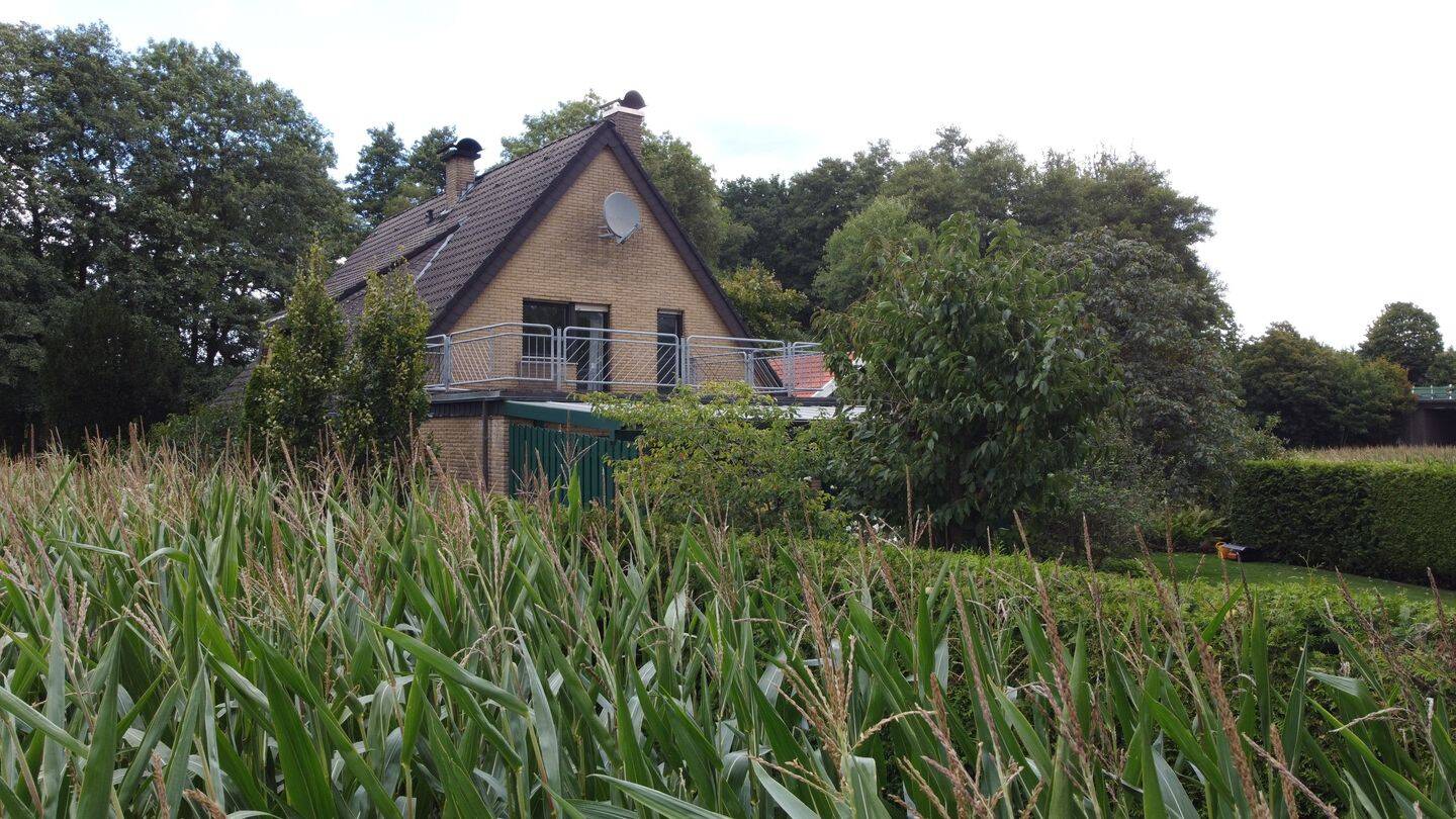 Bild 12