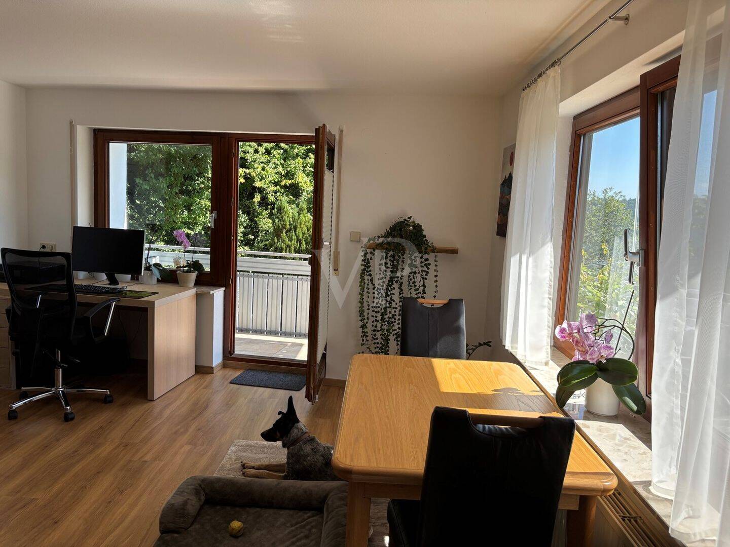 Bild 15
