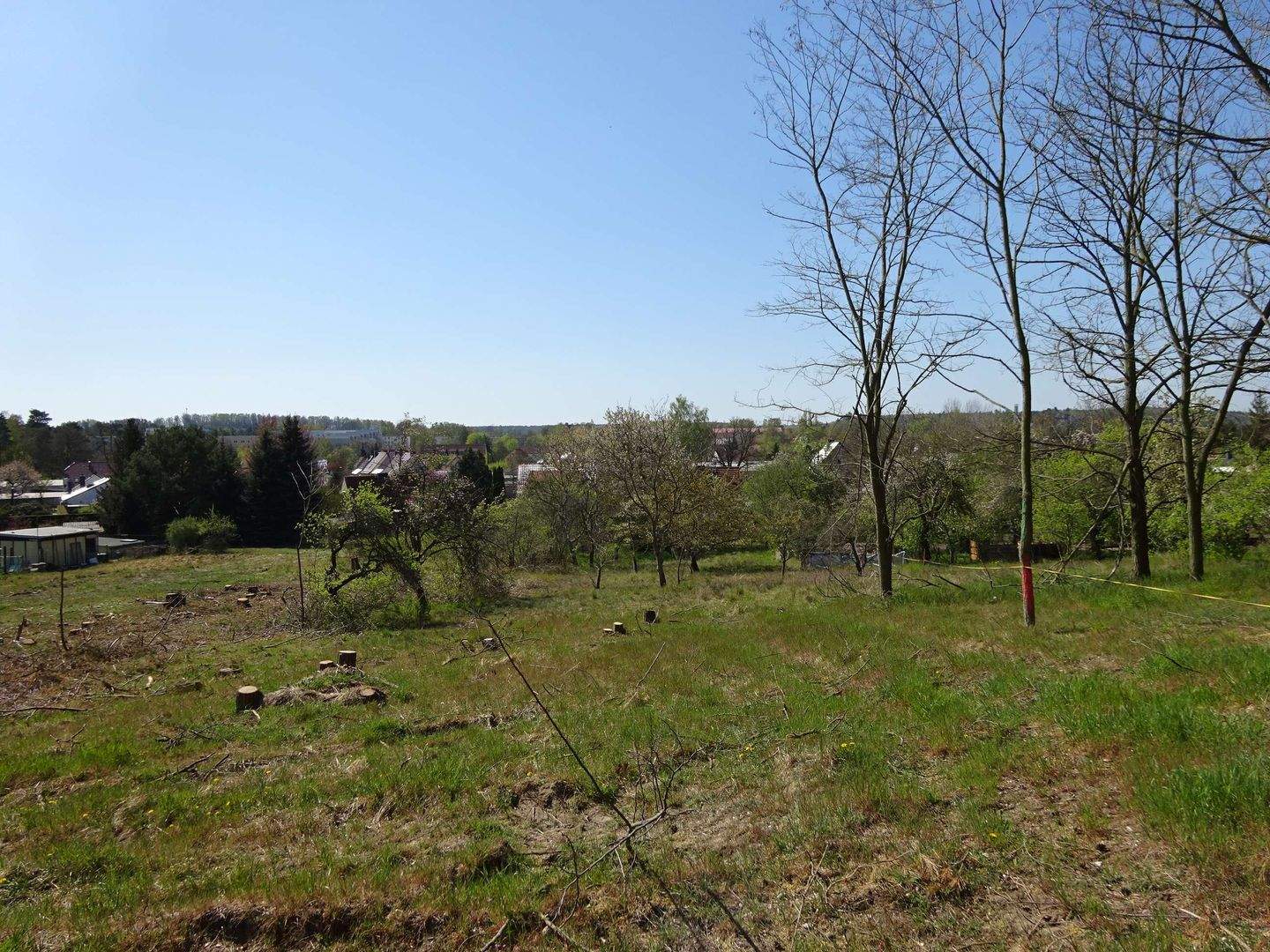 Bild 15