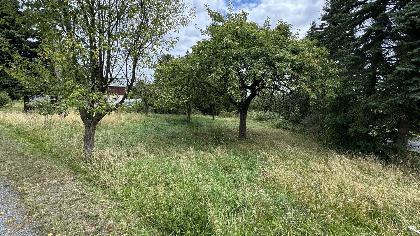 Bild 16