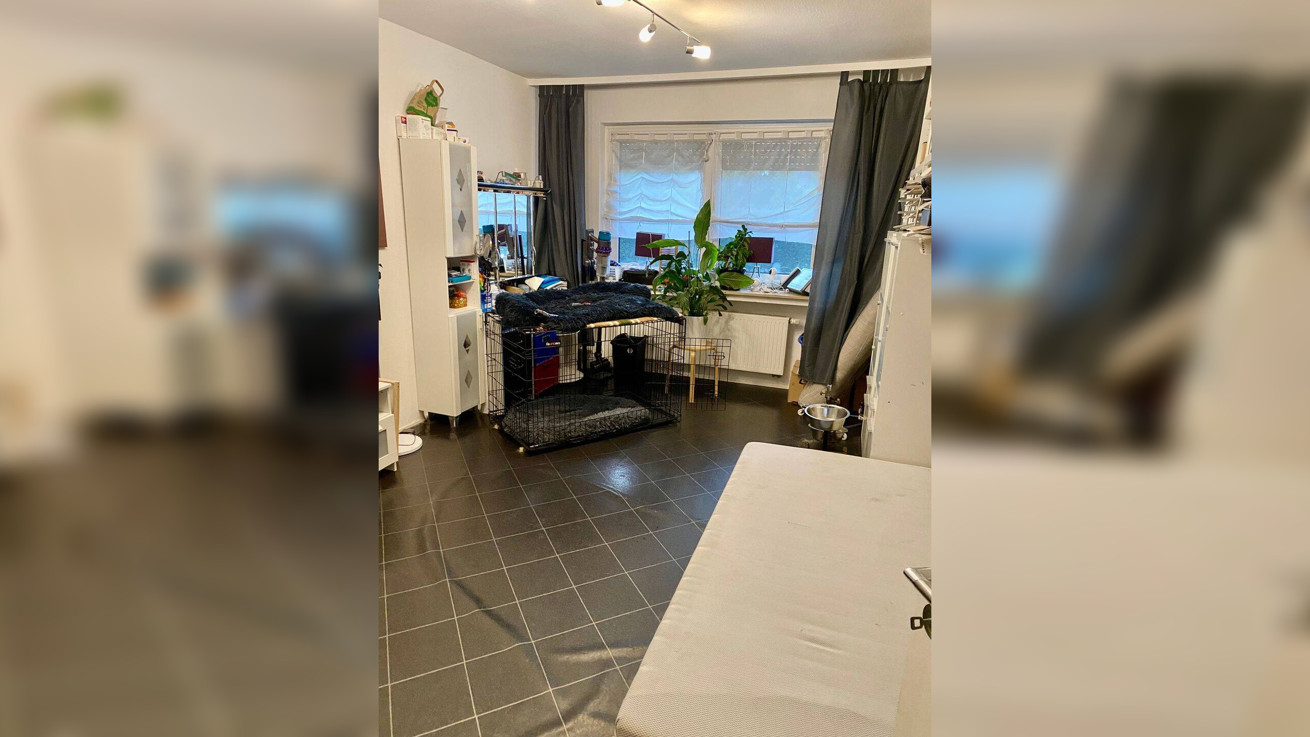 Bild 11