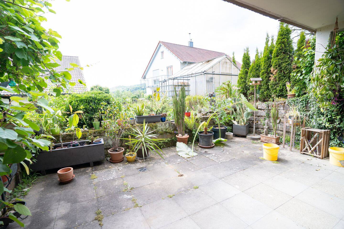 Bild 19