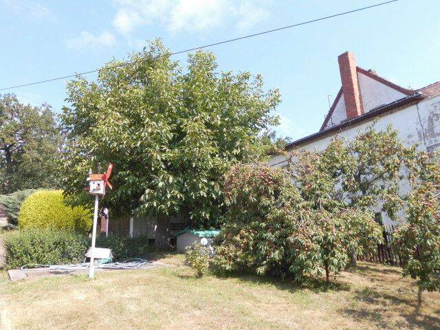 Bild 19
