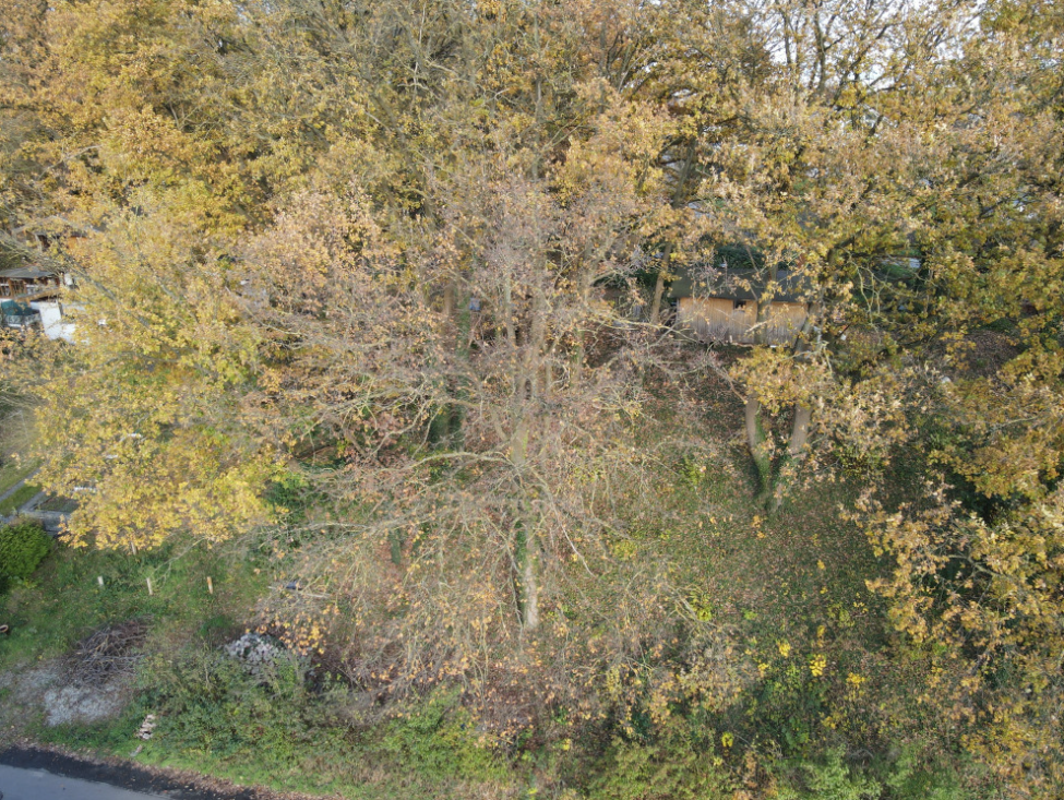 Bild 10