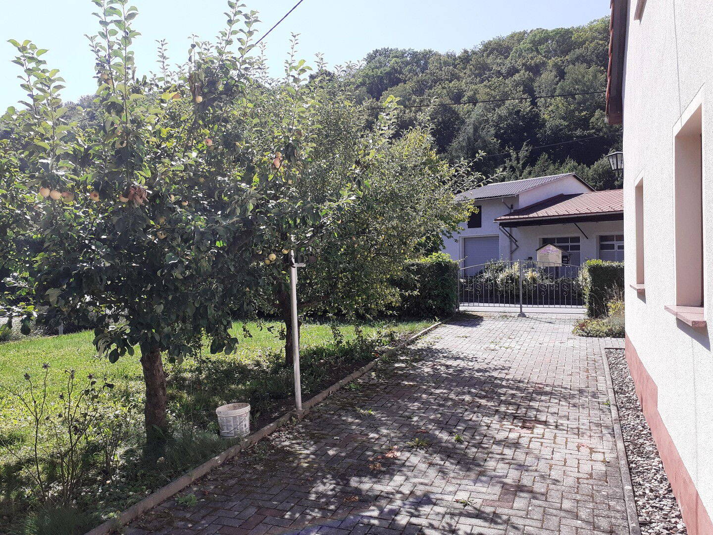 Bild 7