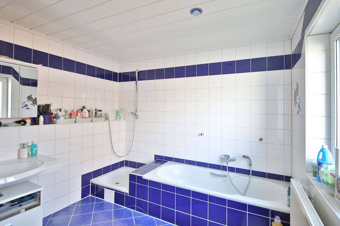 Bild 8