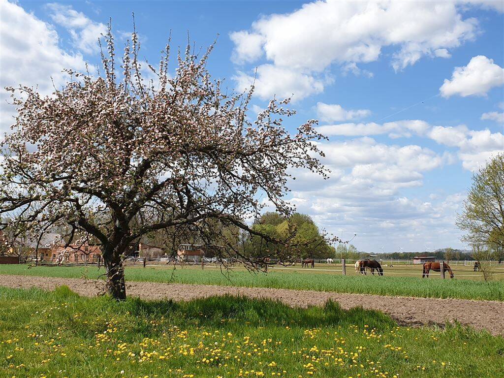 Bild 18