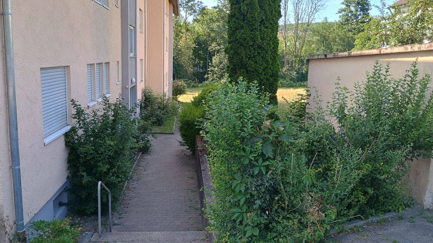 Bild 14