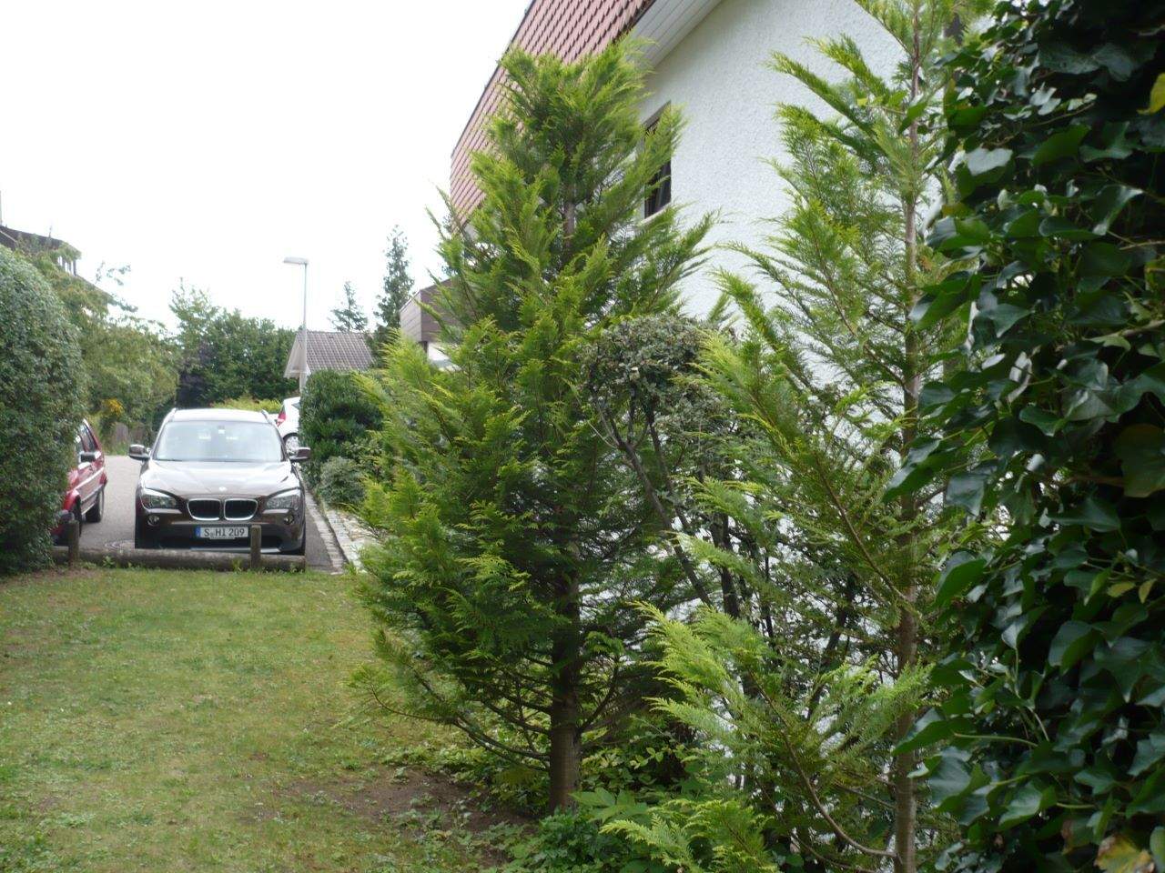 Bild 5