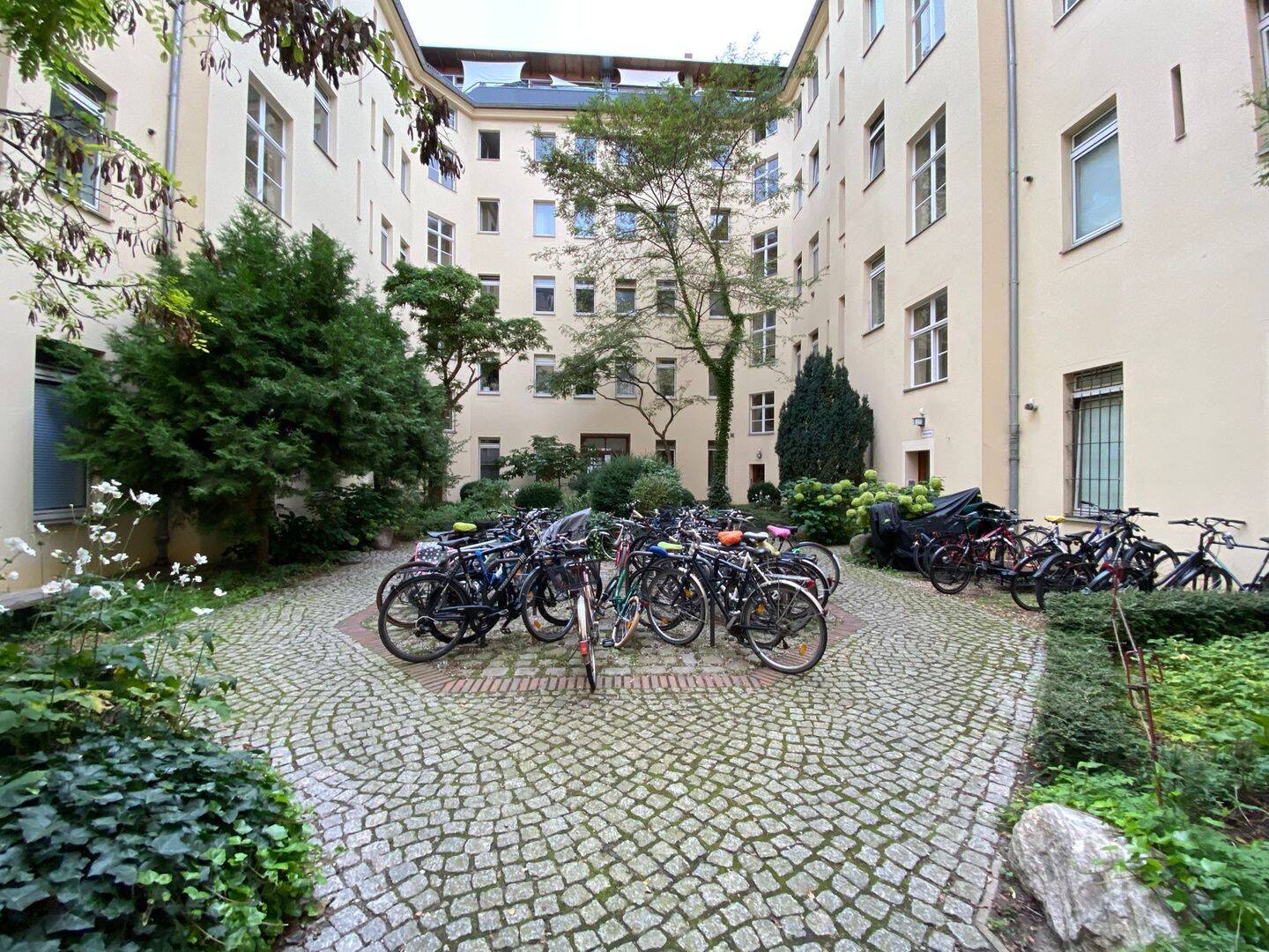 Bild 8
