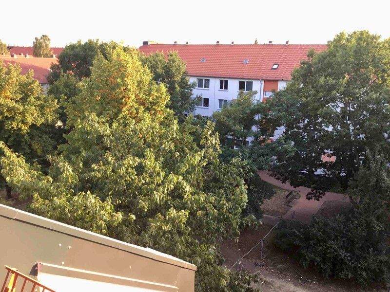 Bild 7
