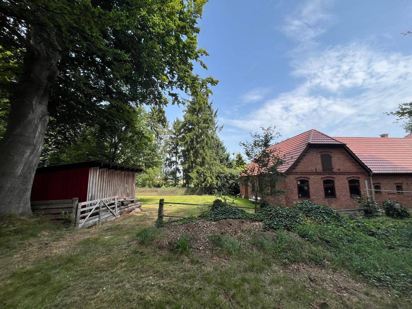 Bild 12