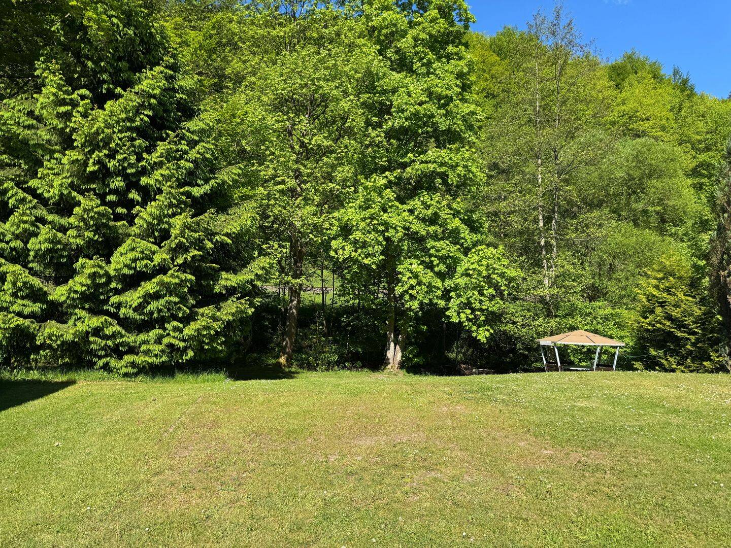 Bild 11