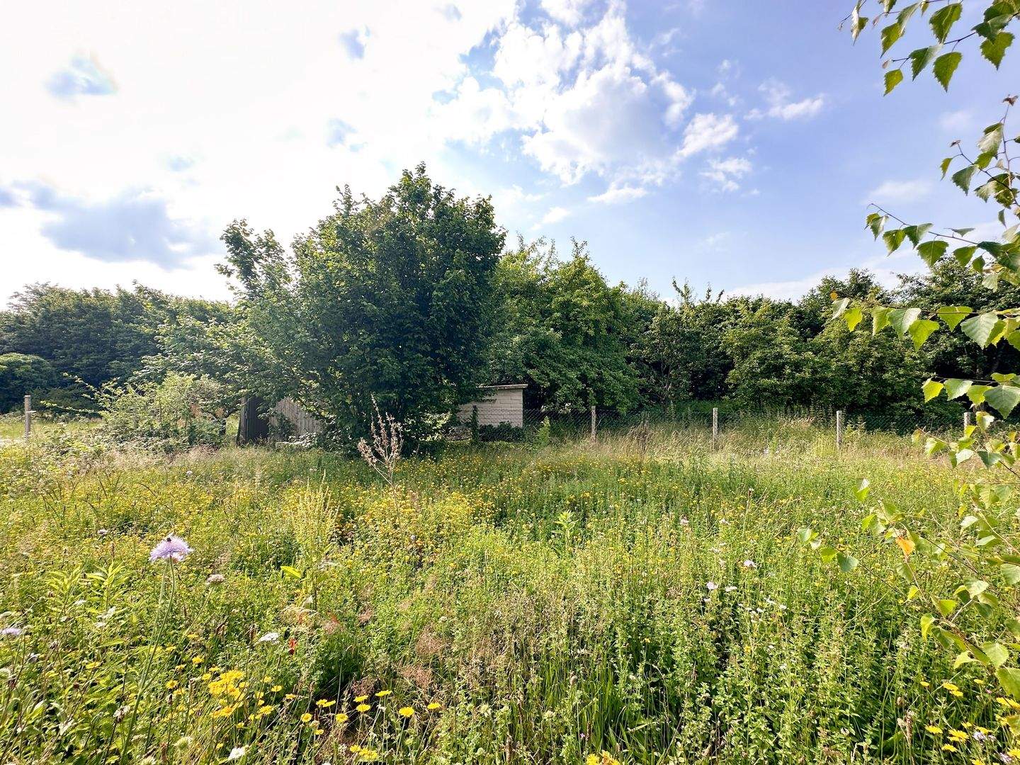 Bild 14