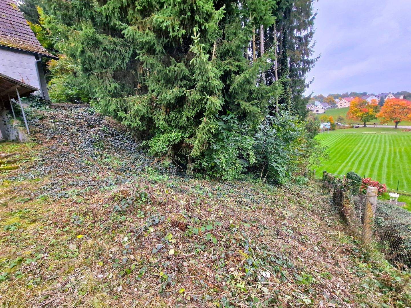 Bild 9
