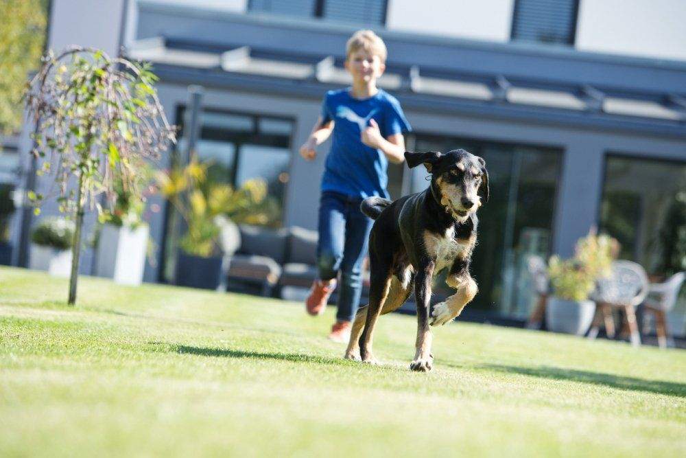 Bild 9