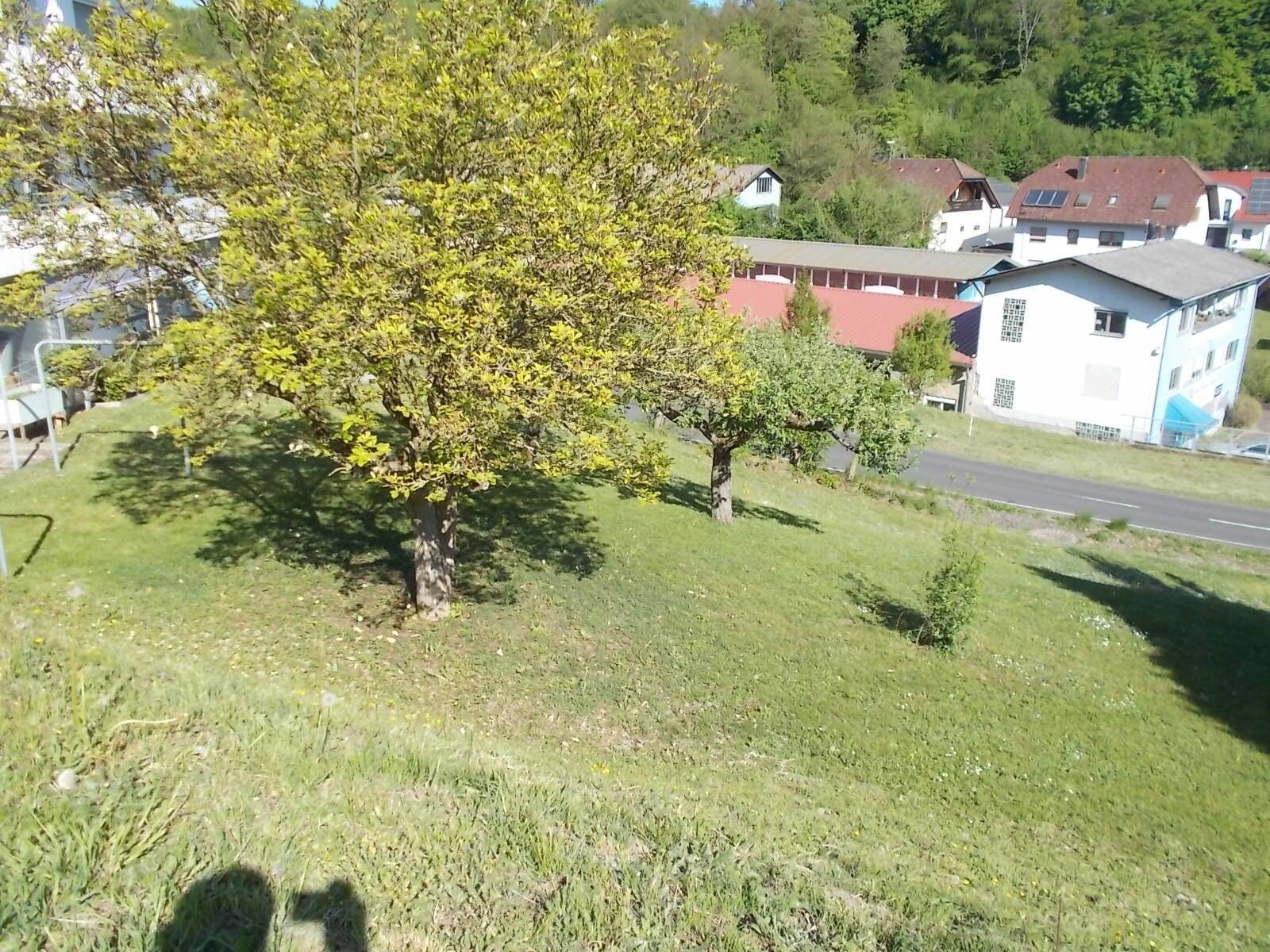 Bild 7