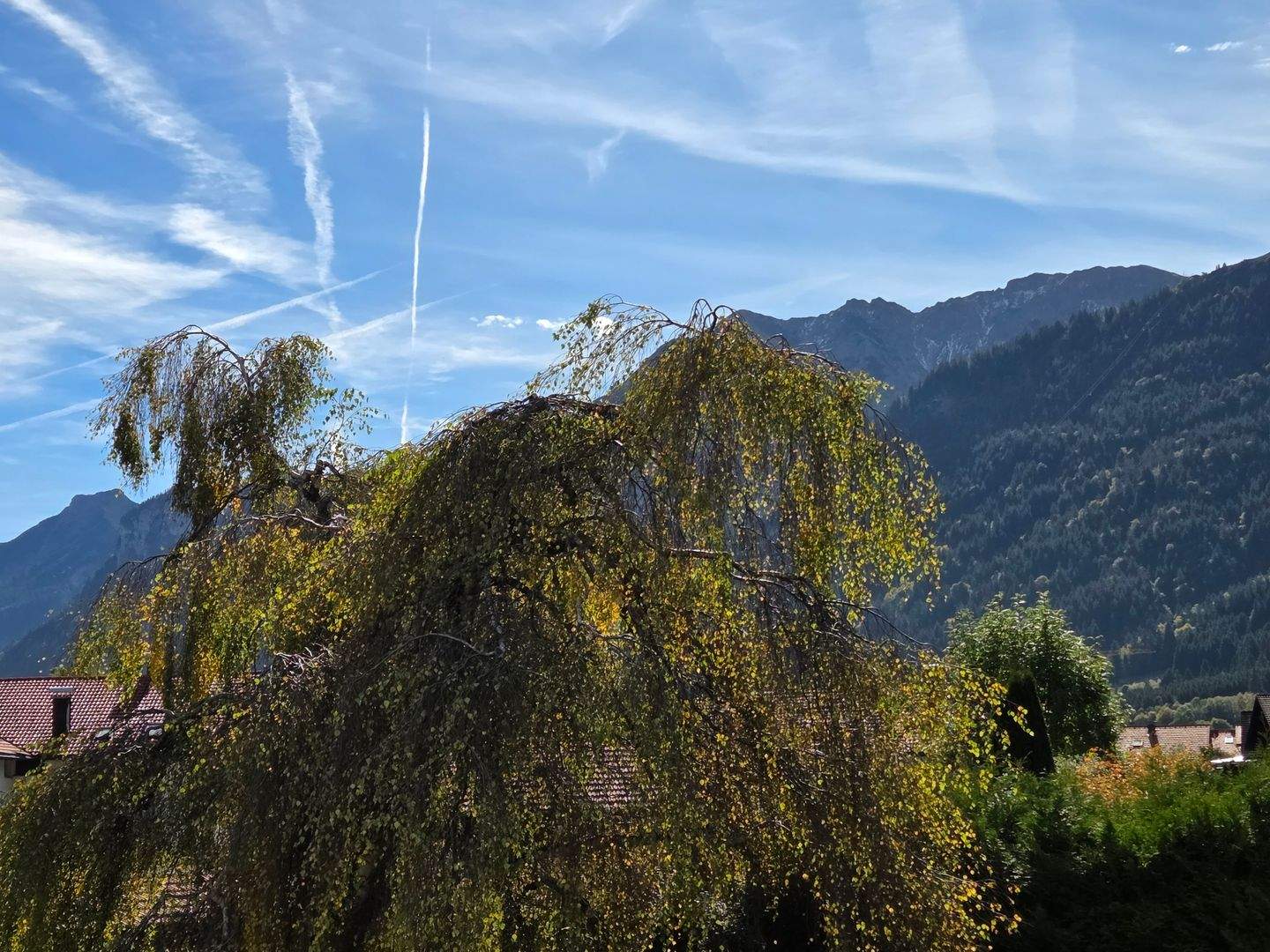 Bild 7