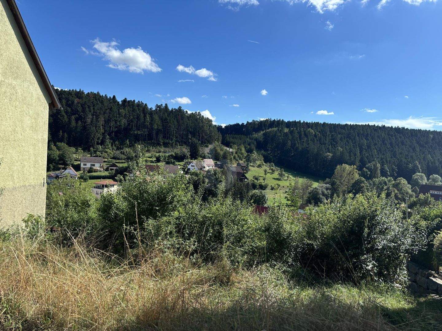 image-70035901
