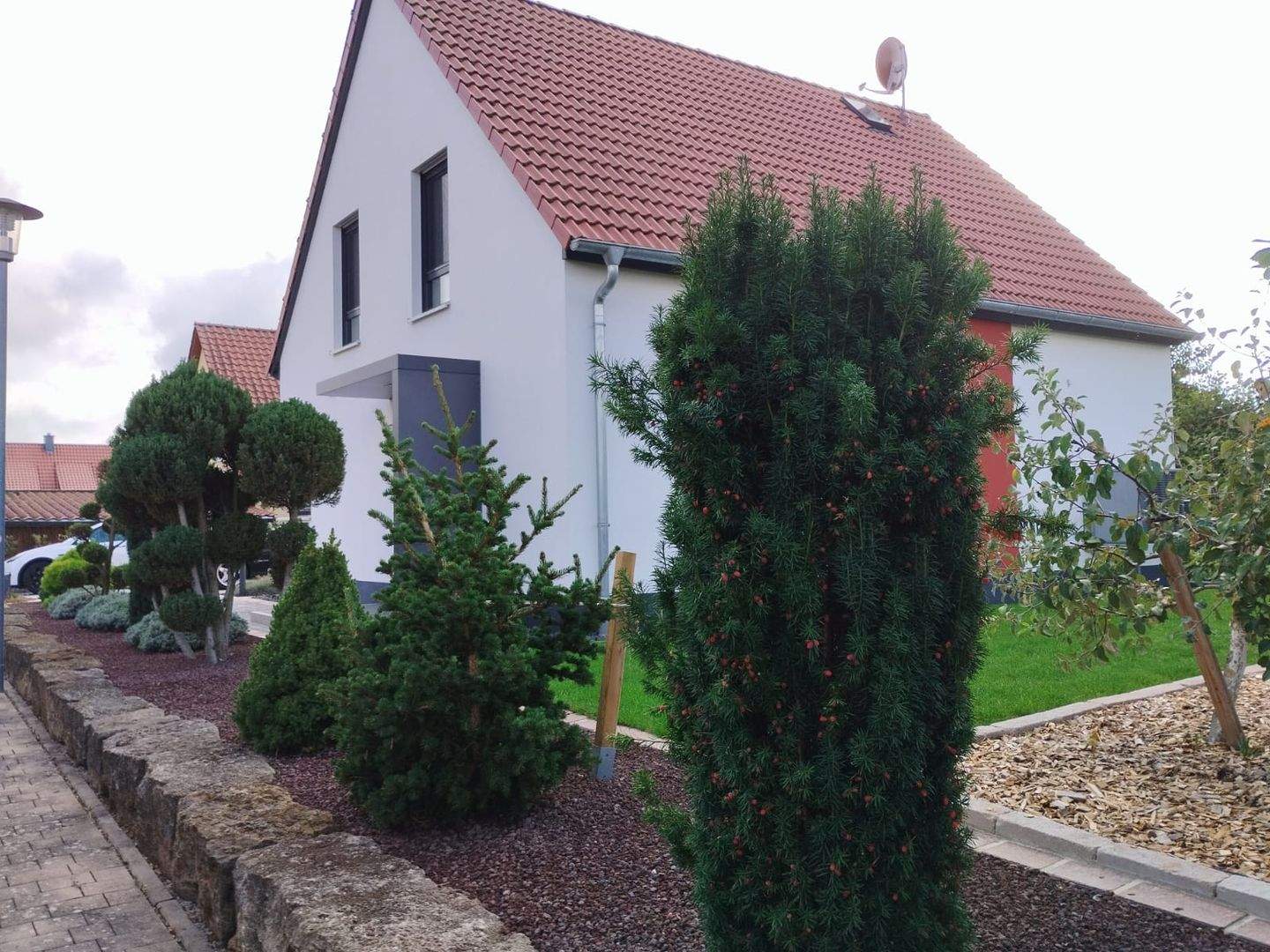 Bild 7