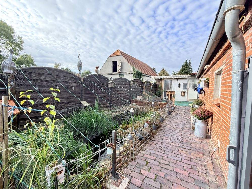 Bild 6