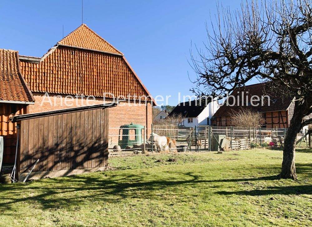 Bild 9