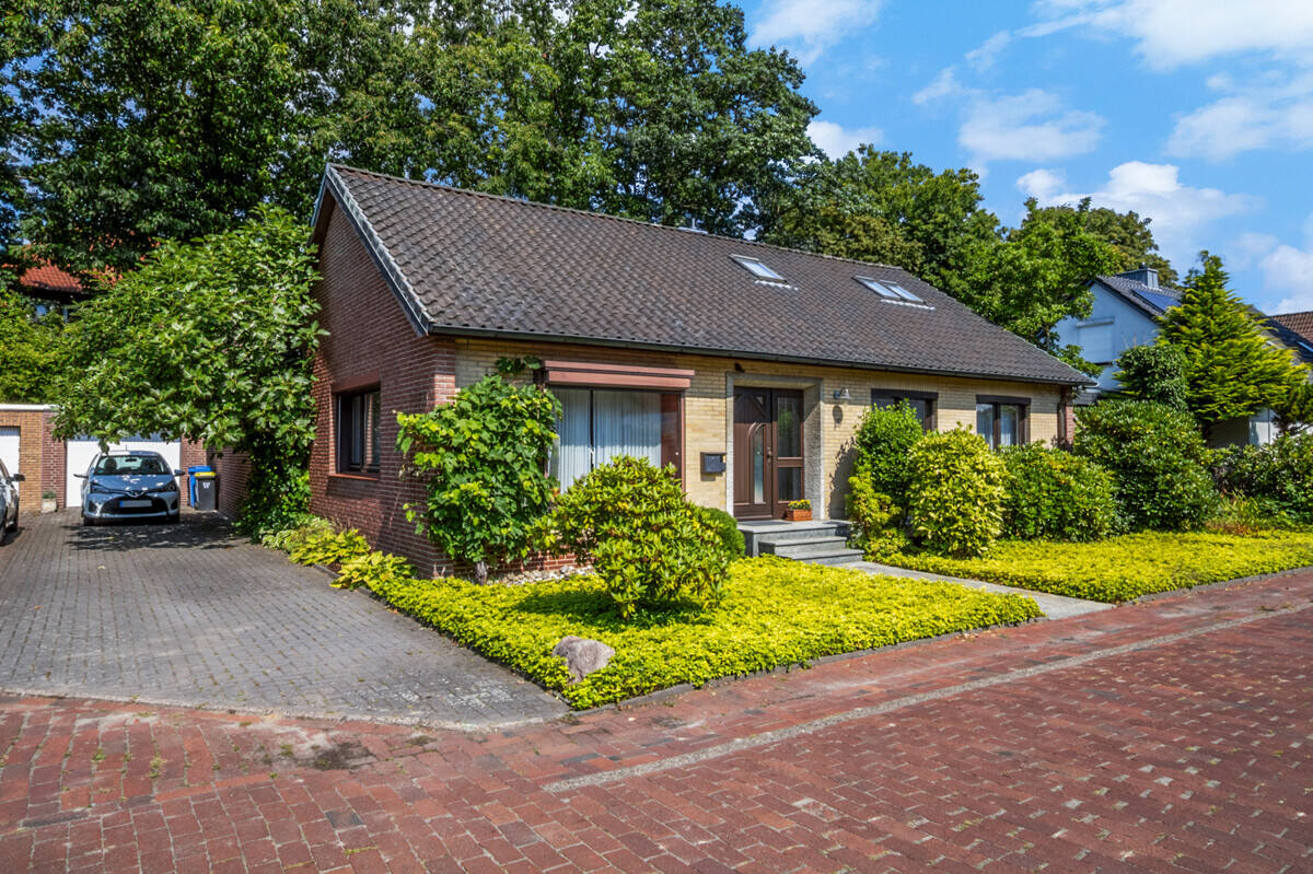 Bild 12