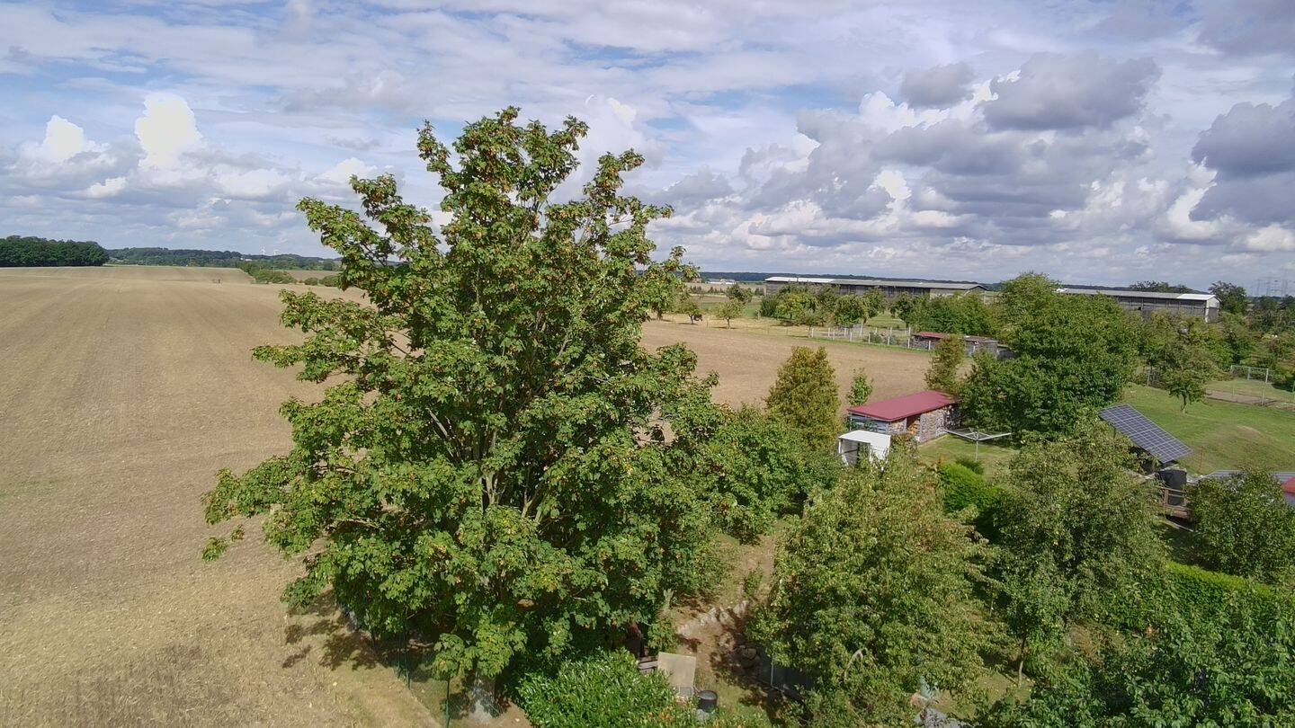Bild 17