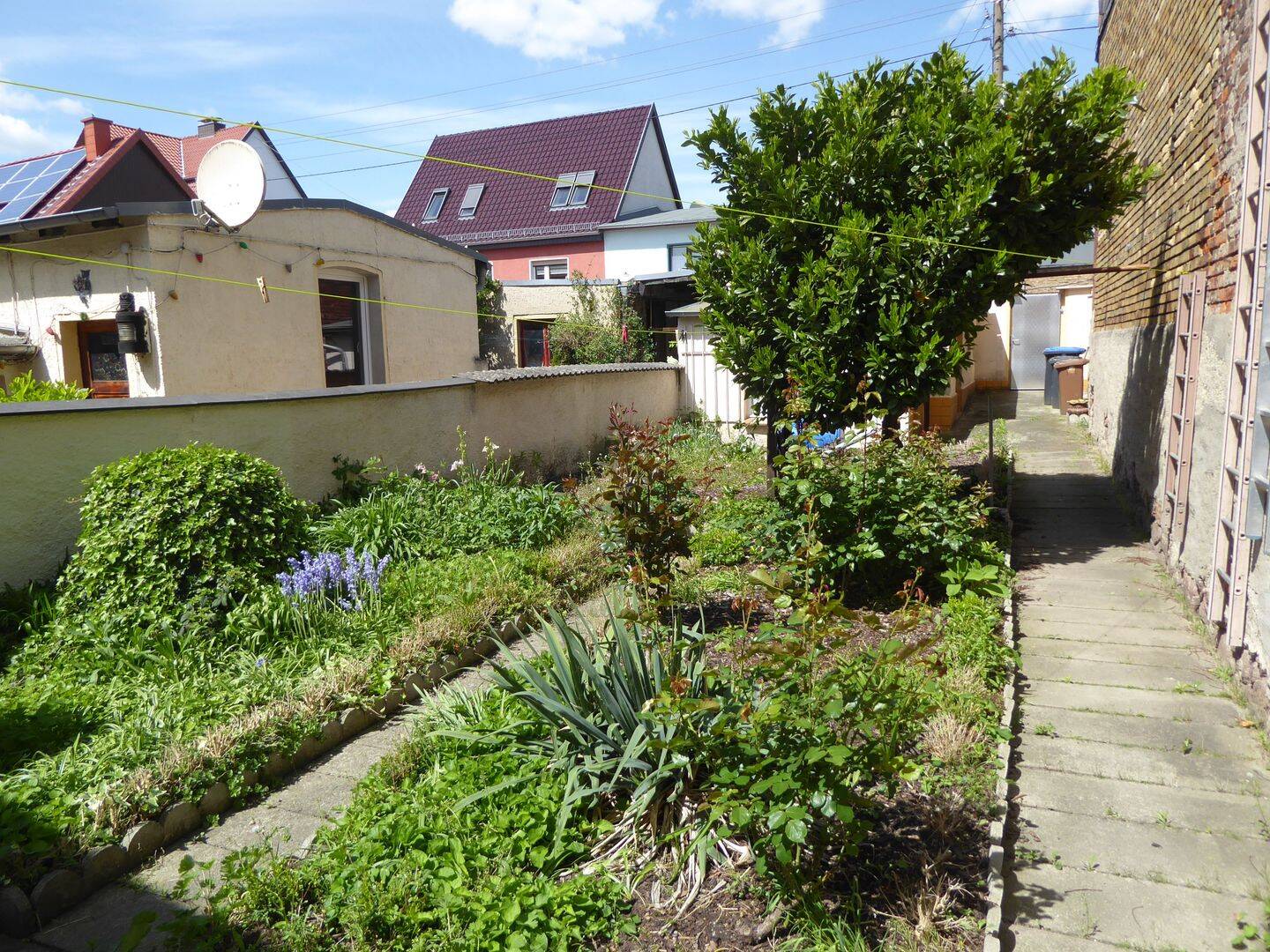 Bild 11