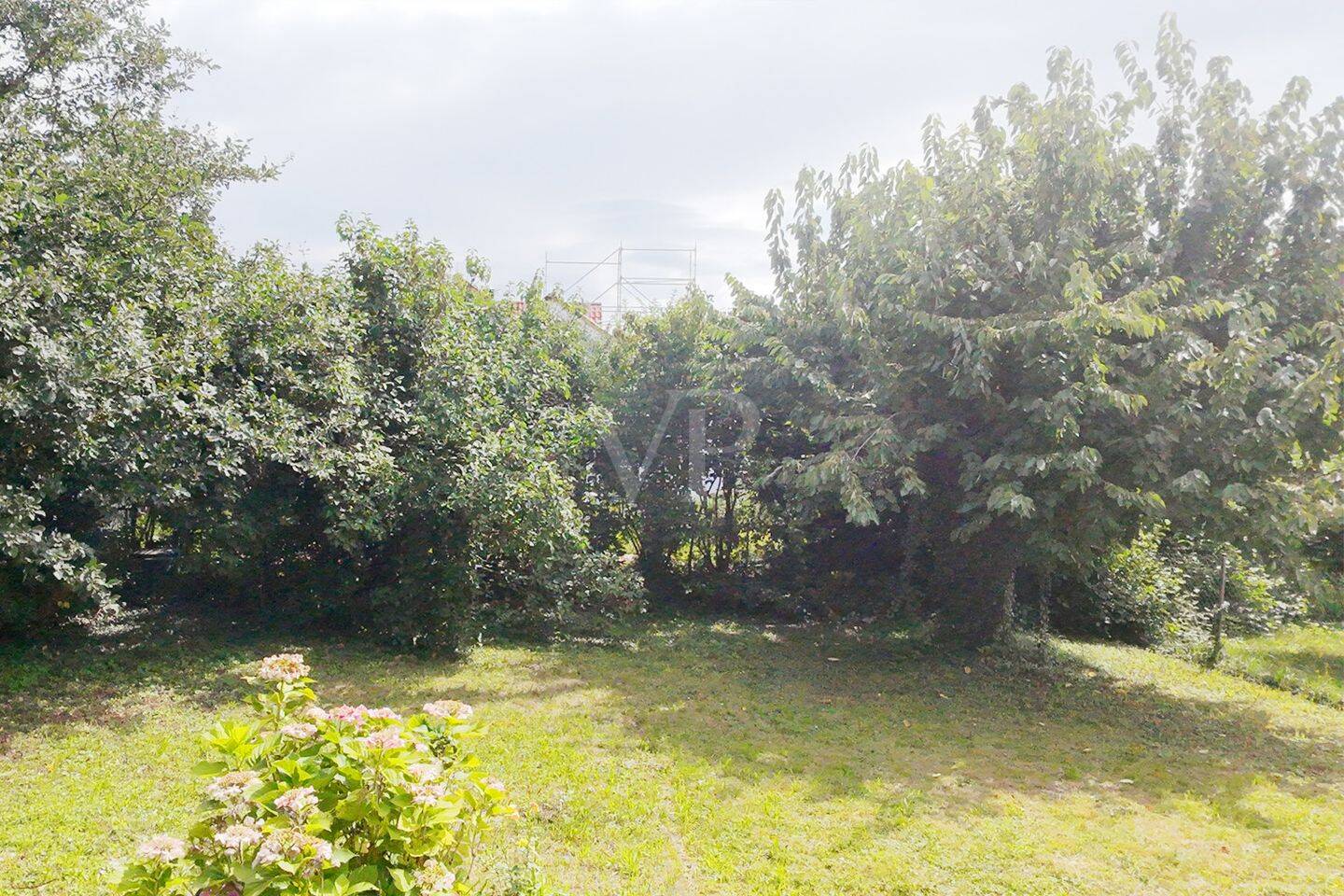 Bild 12