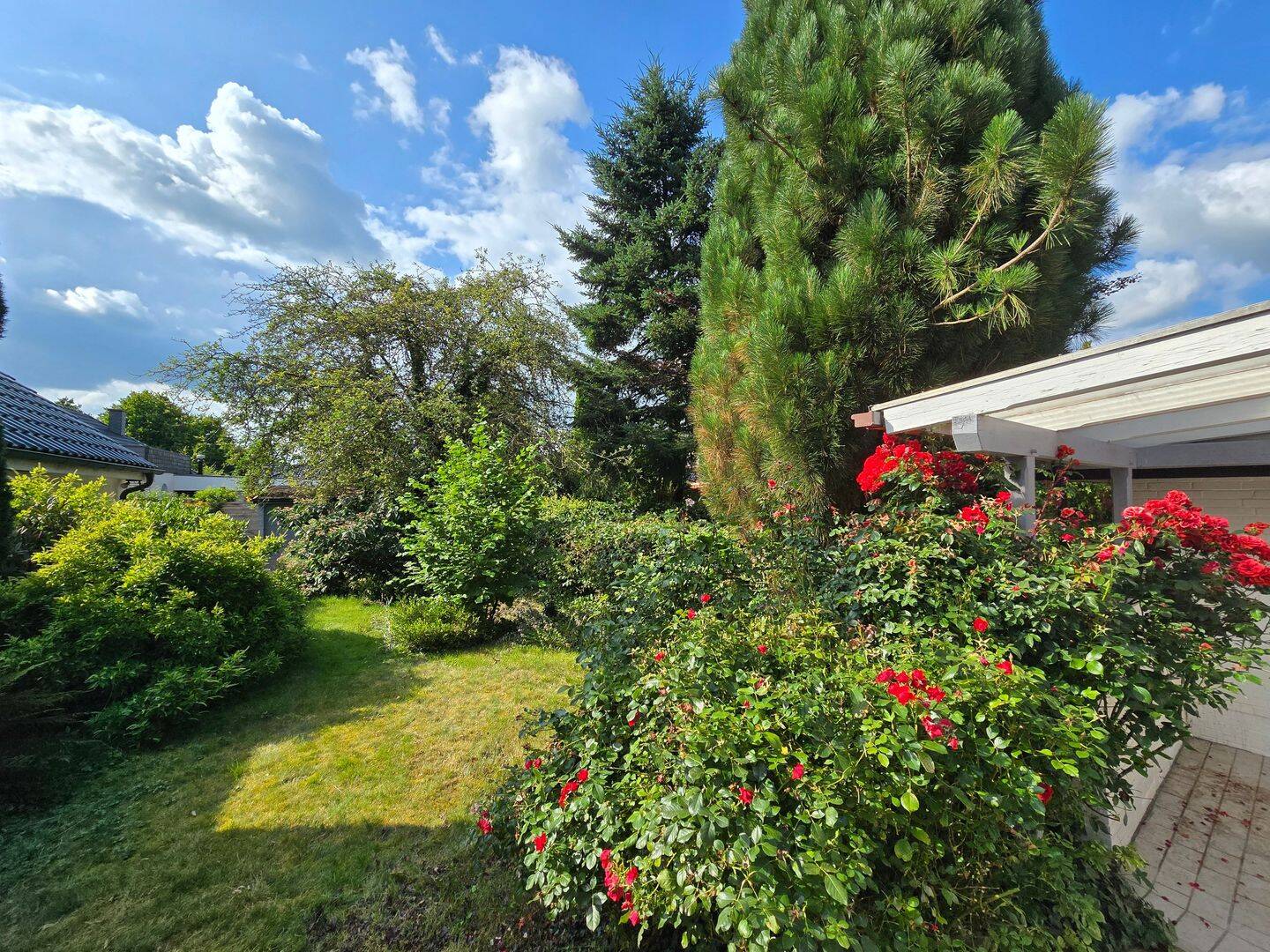 Bild 12