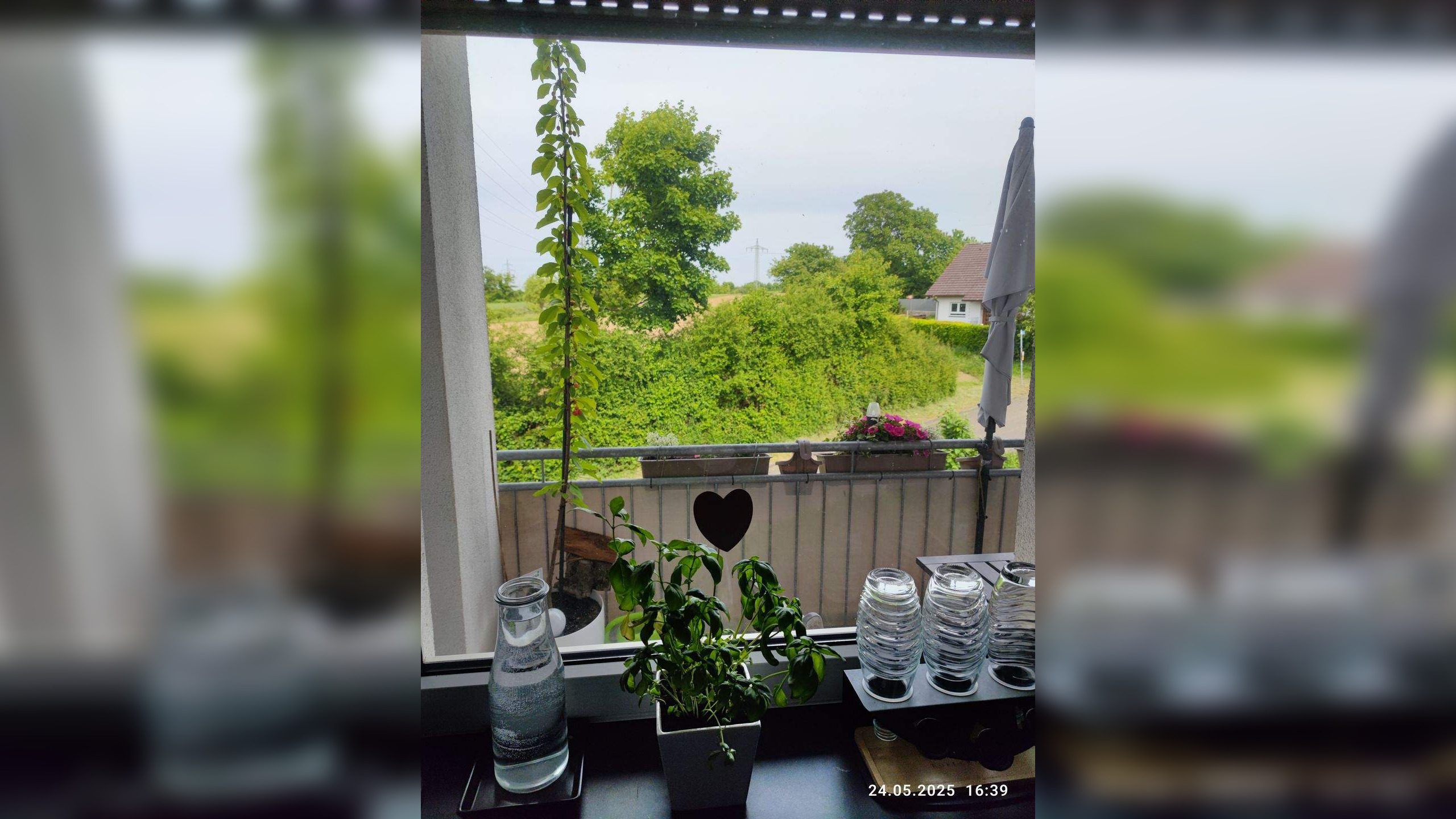 Bild 18