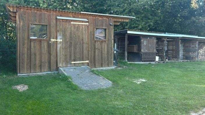 Bild 7