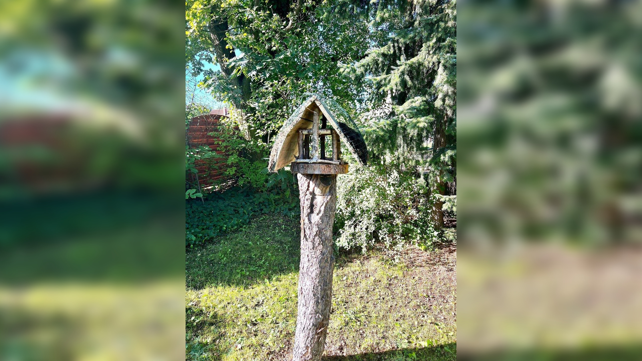 Bild 9