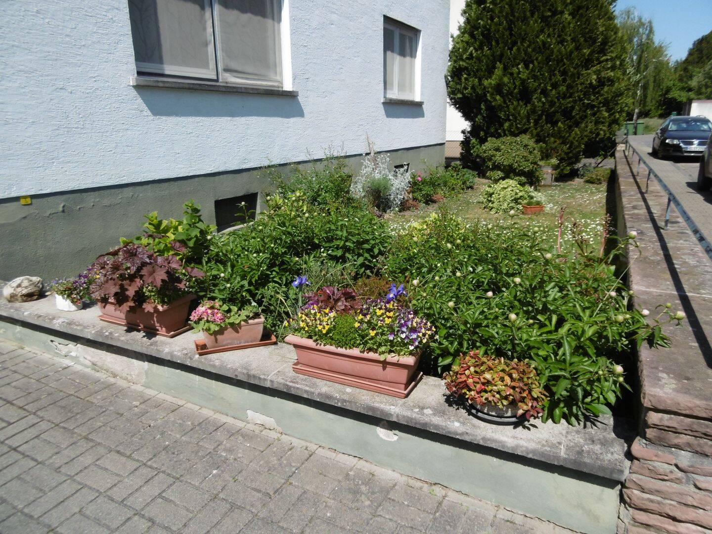 Bild 9