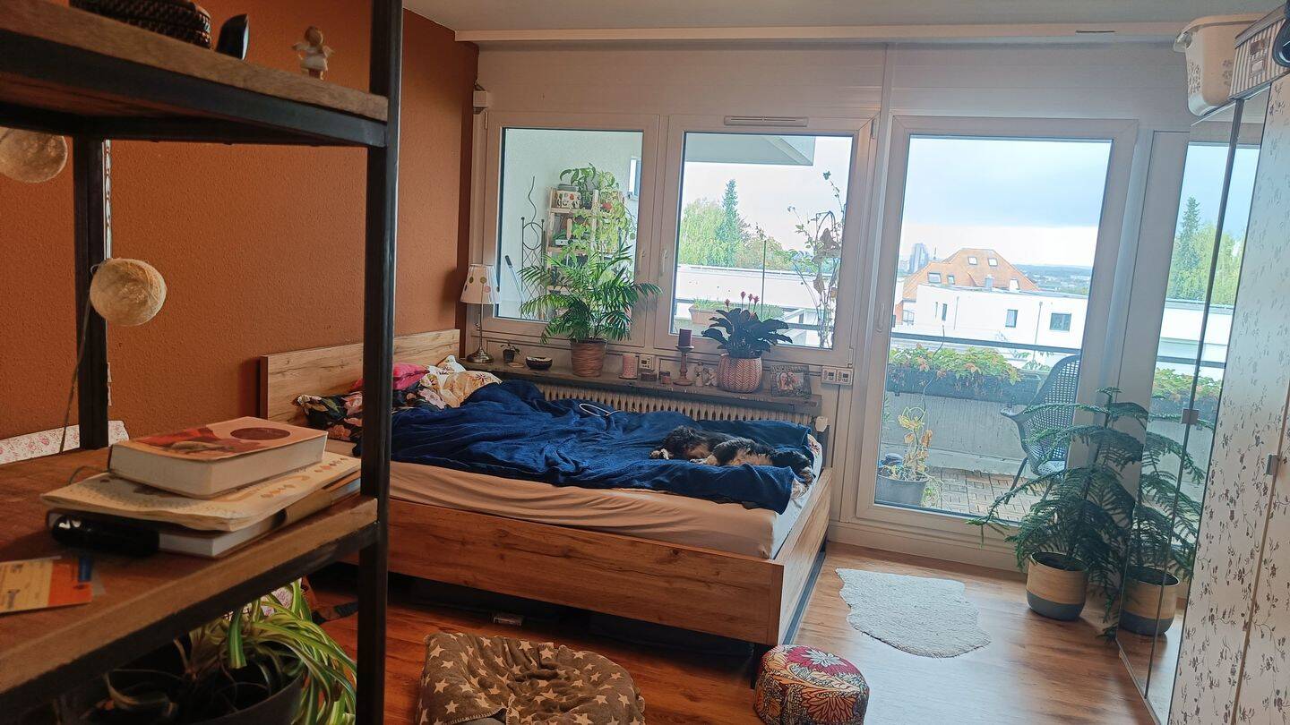 Bild 4