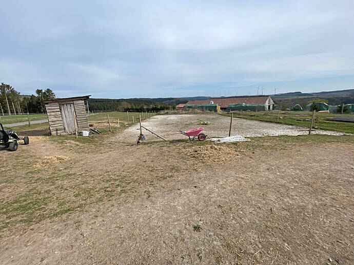 Bild 15