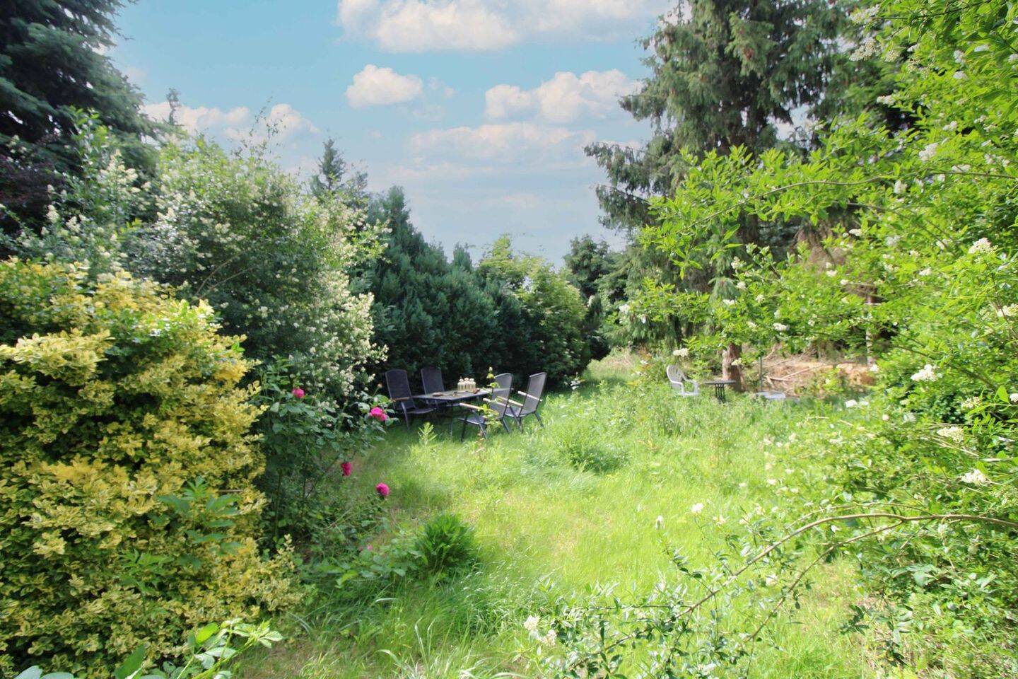 Bild 15